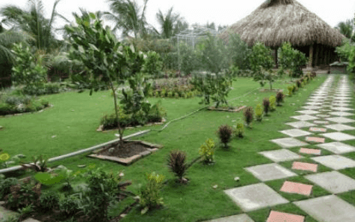 Vườn sinh thái Hoa Súng sẽ đốn tim người ngắm nhìn