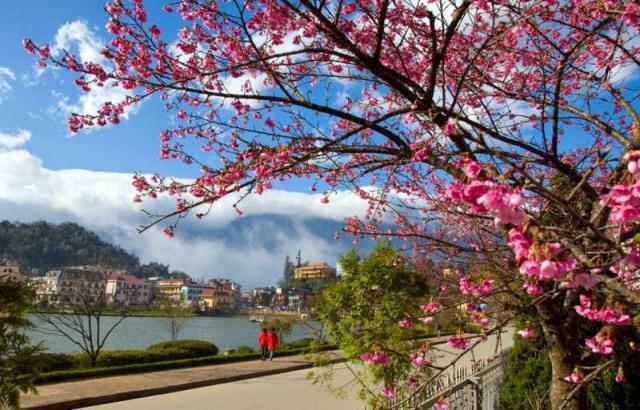 Những Điều Thú Vị Cần Biết về Tết ở Đà Lạt