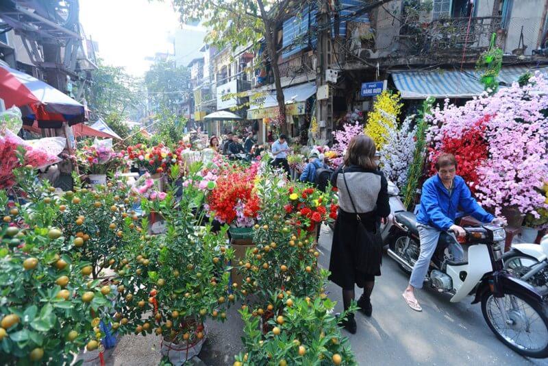 Khám phá 4 chợ hoa Tết 2020 nổi tiếng ở Hà Nội
