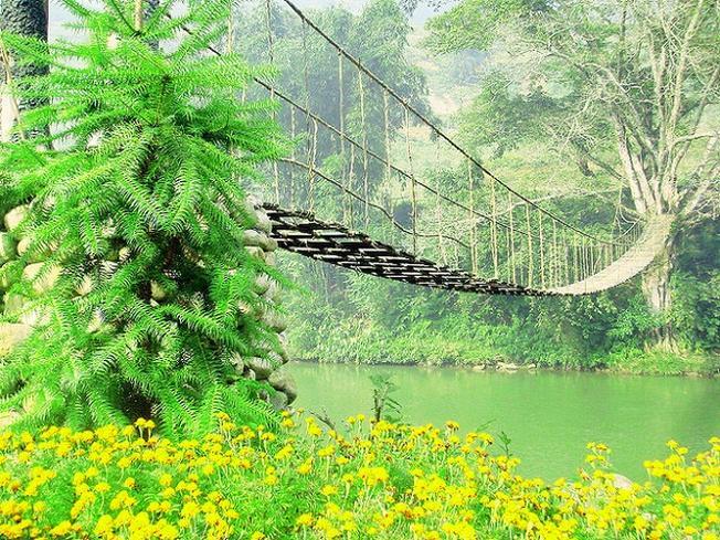 Khám Phá Sự Quyến Rũ của Điểm Đến Cầu Mây Sa Pa