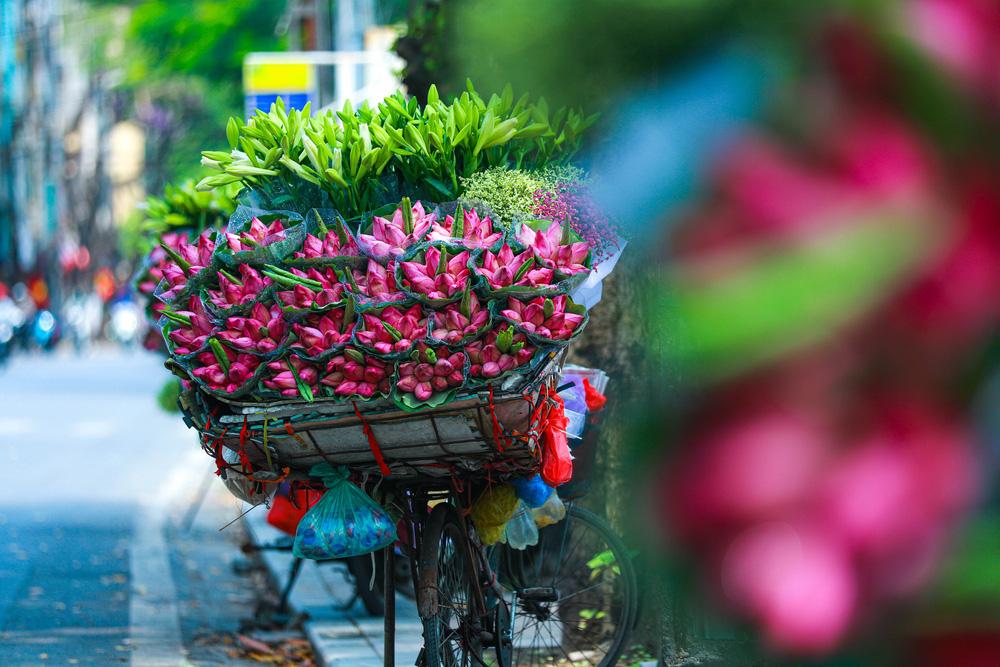 Hà Nội - Thành phố của mười hai mùa hoa