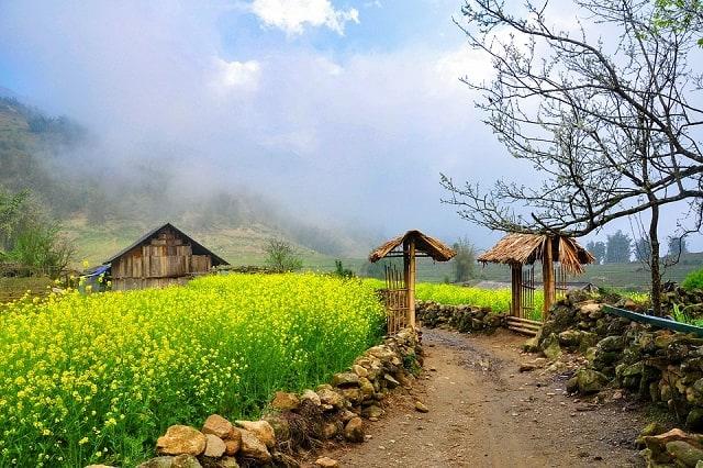 Du lịch Sapa 2021: Bí quyết khám phá từ A đến Z