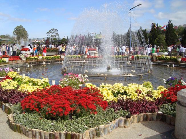 Tour du lịch Đà Lạt tiết kiệm một ngày thú vị