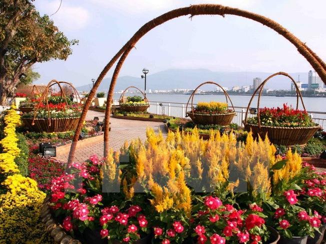Khám phá vẻ đẹp Tết tại chợ hoa Đà Nẵng
