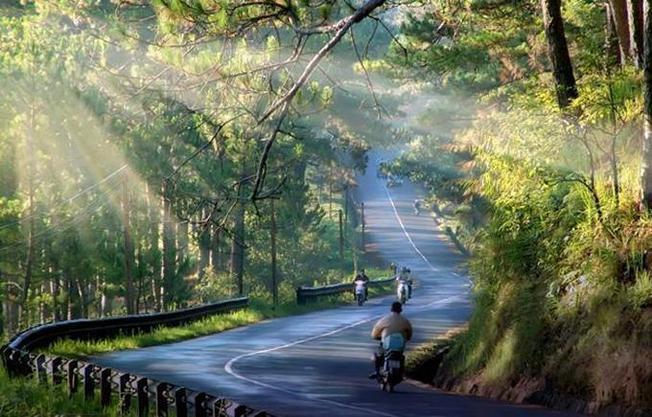 3 điểm khác biệt thú vị làm Đà Lạt trở nên hấp dẫn hơn