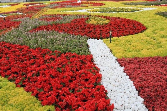 Diverse Colors of Da Nang Flower Market on Bà Nà Peak