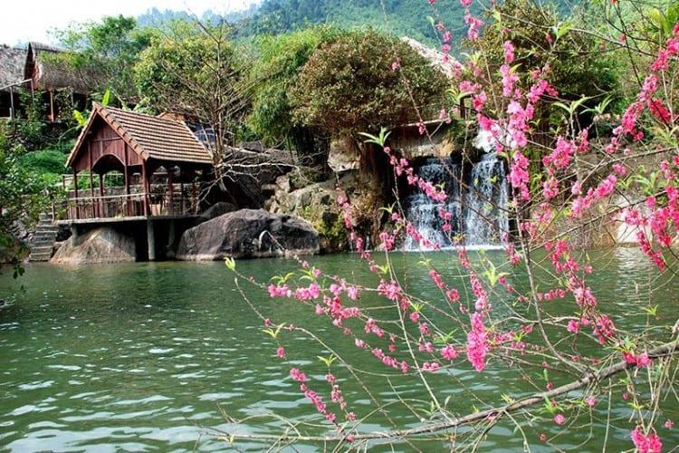 Bí mật của Suối Hoa: Hành trình kỳ diệu tại trái tim Đà Nẵng