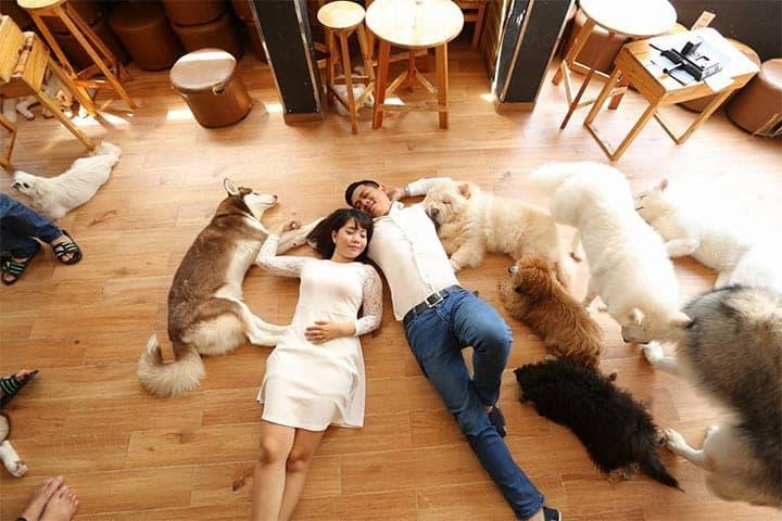 11 quán cà phê thú cưng ở Sài Gòn dễ thương khó cưỡng