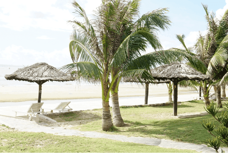 Trải nghiệm giấc mơ tại bãi biển Paradise Vũng Tàu