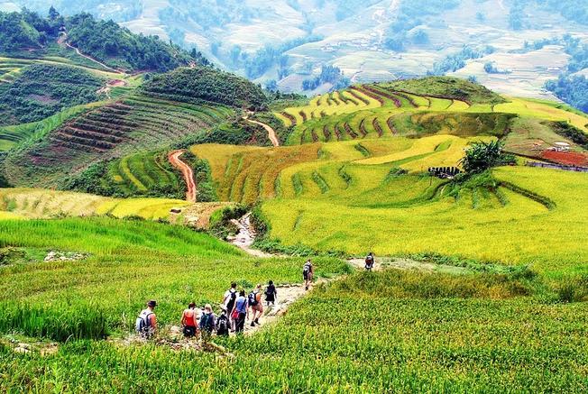 Khám phá Sa Pa với chỉ 700.000 đồng