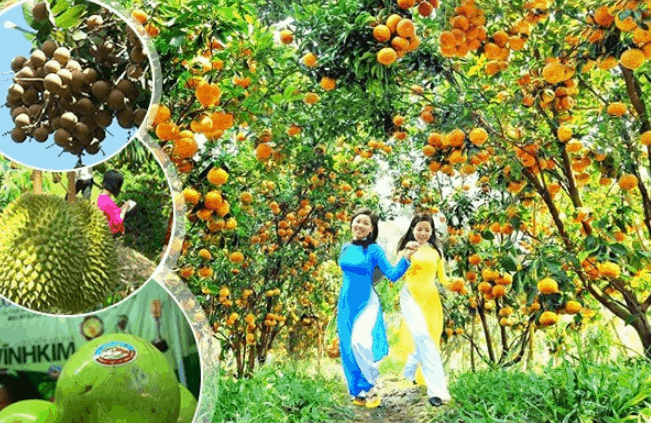 Khám phá vườn trái cây Mỹ Khánh - điểm đến tuyệt vời cho du khách