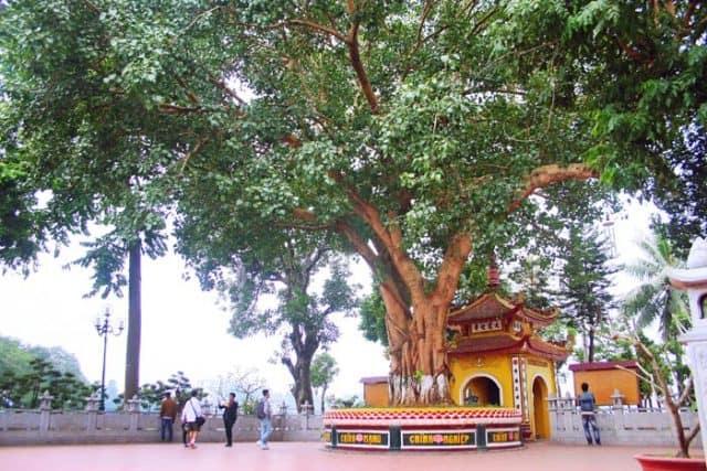 Khám phá 9 điểm du xuân lý tưởng gần Hà Nội