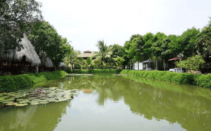 Khám phá sự hấp dẫn của Vườn Sinh Thái Bảo Gia Trang Viên - nơi gợi mở vẻ đẹp độc đáo