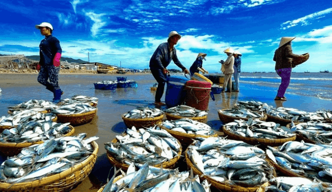 Khám phá thiên đường ẩm thực tại chợ hải sản Vũng Tàu, không bao giờ muốn rời đi