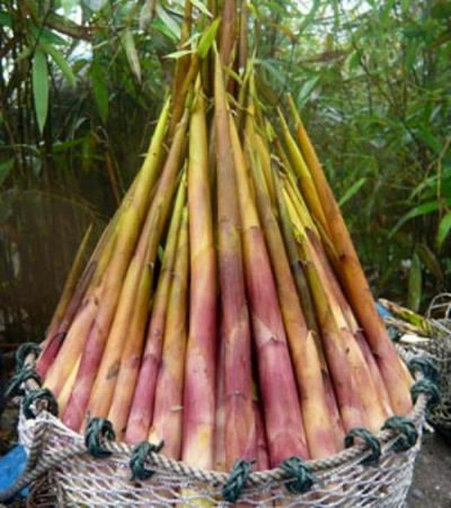 Vẻ đẹp ẩm thực của Sa Pa và những tên gọi độc đáo
