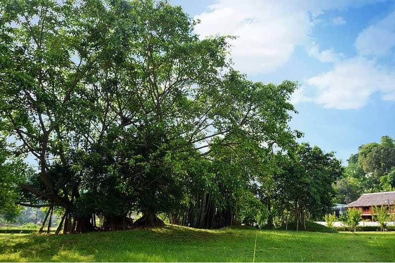 Bí quyết khám phá Tuyên Quang từ A đến Z