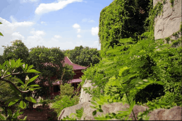 Thưởng thức sự đáng yêu của đàn 'quỷ nhỏ' tại chùa Khỉ Vũng Tàu