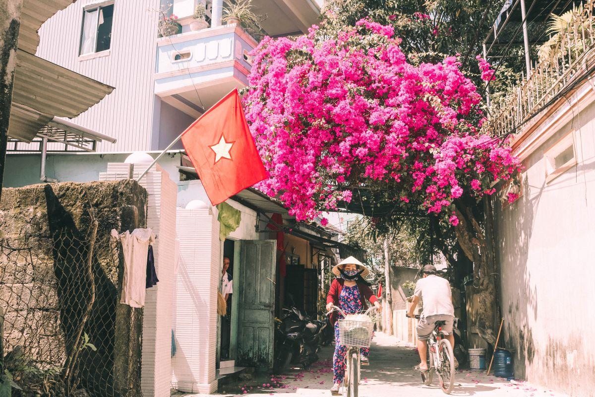 Hương sắc mùa Hạ ở xứ Huế