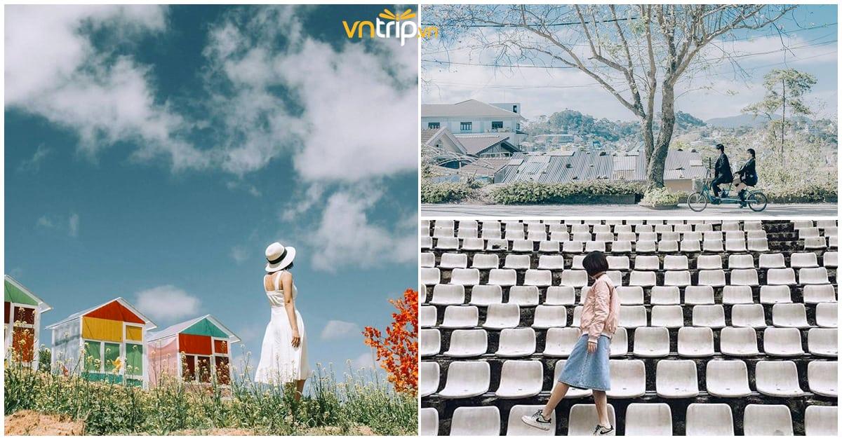 Chẳng ai dám nghĩ đến việc “Đừng bao giờ” ghé thăm Đà Lạt vào tháng 1 này cả!