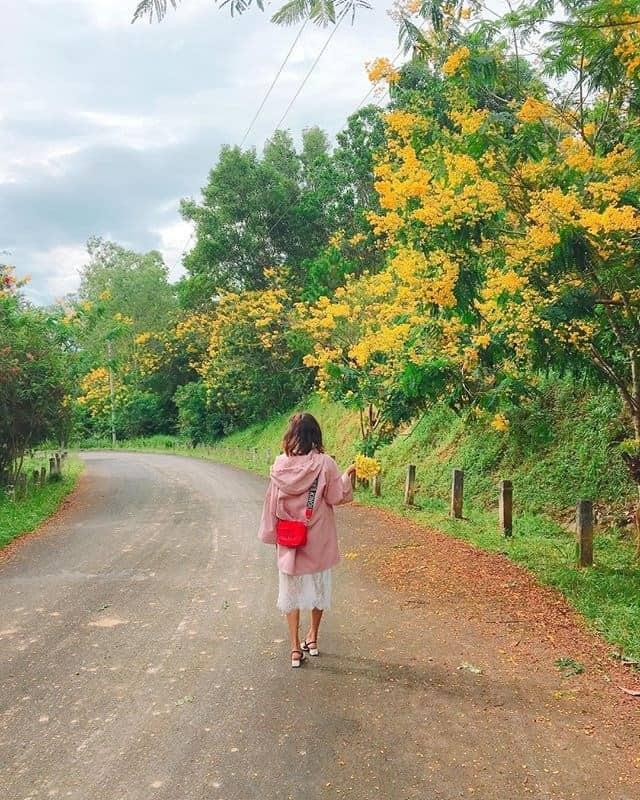 Khám phá điều kỳ bí của Cao nguyên Di Linh Đà Lạt