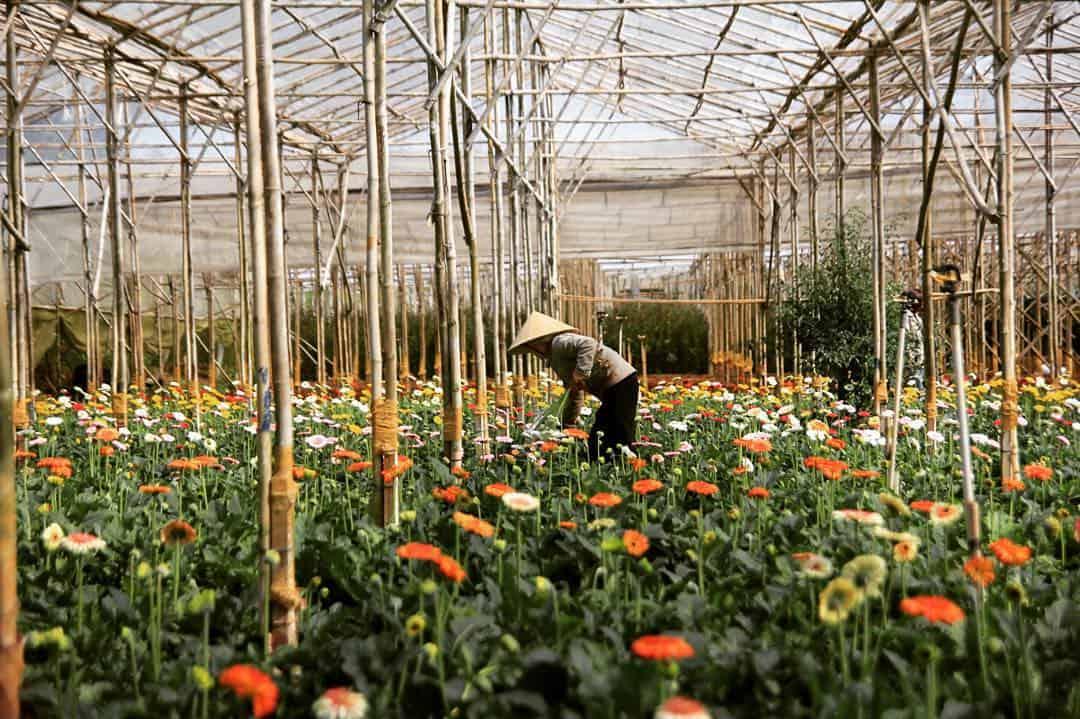 Bản đồ du lịch Đà Lạt mới nhất năm 2019