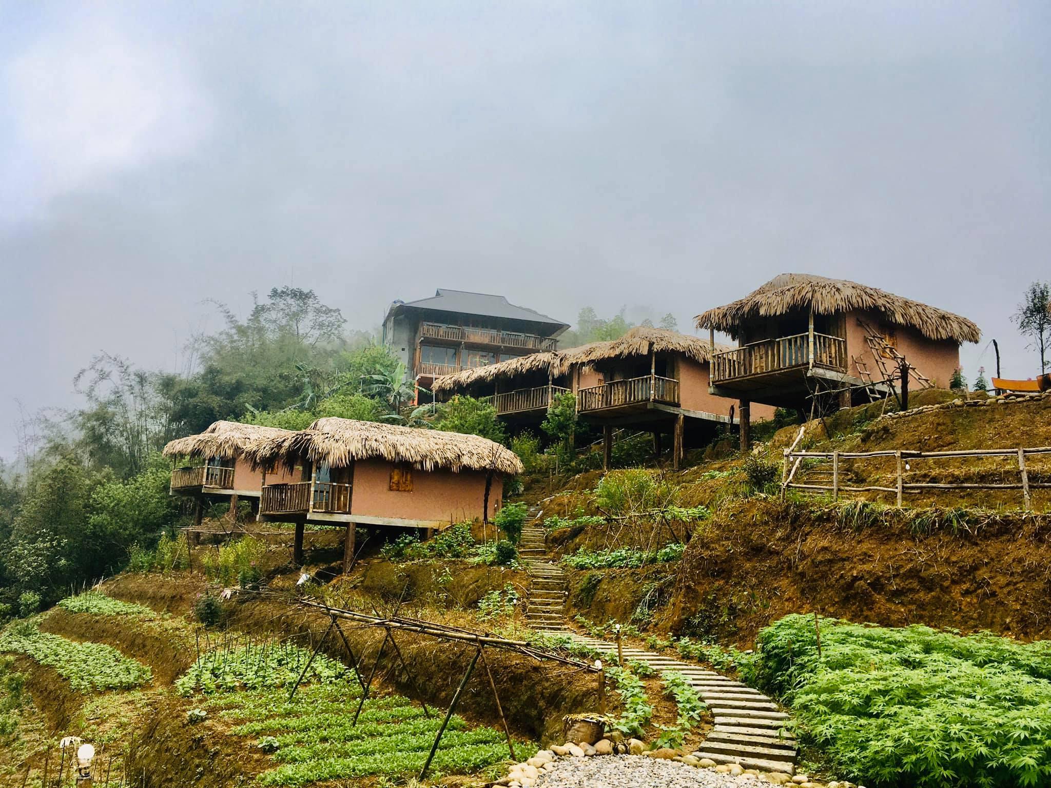 Các điểm đến Farmstay tuyệt vời trải dài khắp Việt Nam