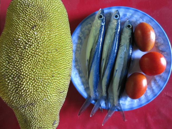 Cá chuồn, mít non – nguyên liệu chế biến món ăn Hội An bình dị