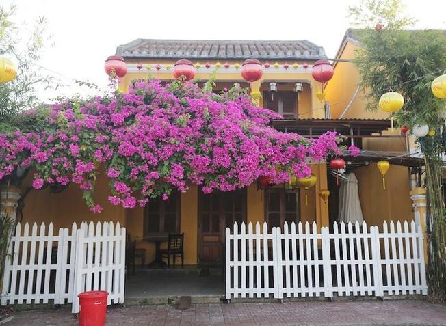 Bức tranh sống động của Hội An qua ống kính - Vntrip.vn