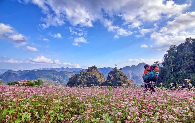 Bí quyết trải nghiệm Hà Giang trong 3 ngày 2 đêm