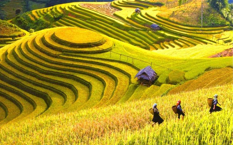Các địa điểm du lịch an toàn trong tháng 8-9 dưới tình hình dịch Covid