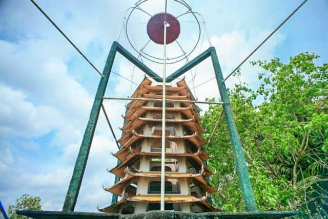 Khám phá Cồn Phụng - điểm đến sinh thái tuyệt vời ở miền Tây