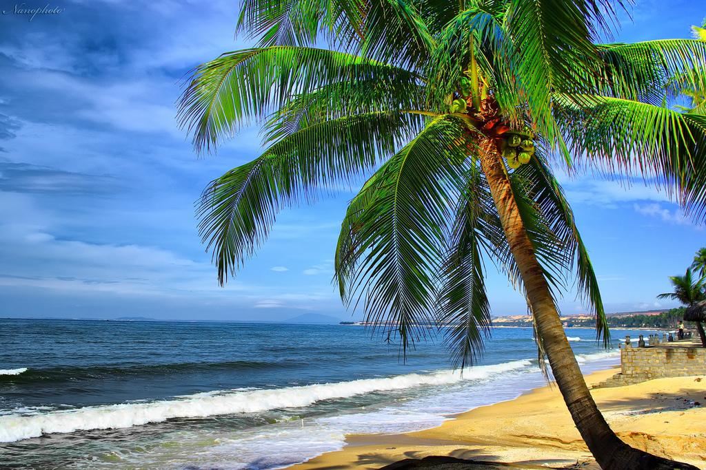 Top 8 bãi biển Nha Trang 'đẹp ngất ngây' không thể bỏ qua