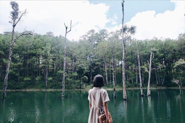 20 điểm sống ảo - check in tại Đà Lạt đẹp ngất ngây