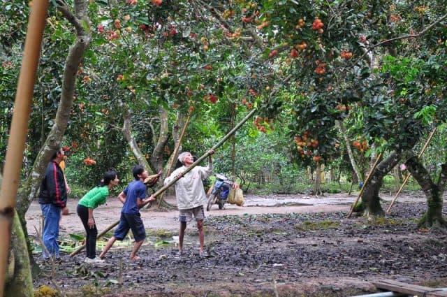 Trải nghiệm hành trình du lịch miền Tây Sóc Trăng – Bạc Liêu trong một ngày với giá cả phải chăng
