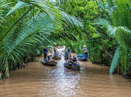 Cồn Thới Sơn - a heavenly retreat amidst the waters of Tien Giang