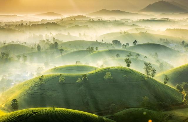 Những điểm đến cuối năm tuyệt vời ở Miền Bắc
