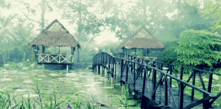 Rời xa khói bụi thành phố để khám phá những trải nghiệm homestay độc đáo tại Cần Thơ