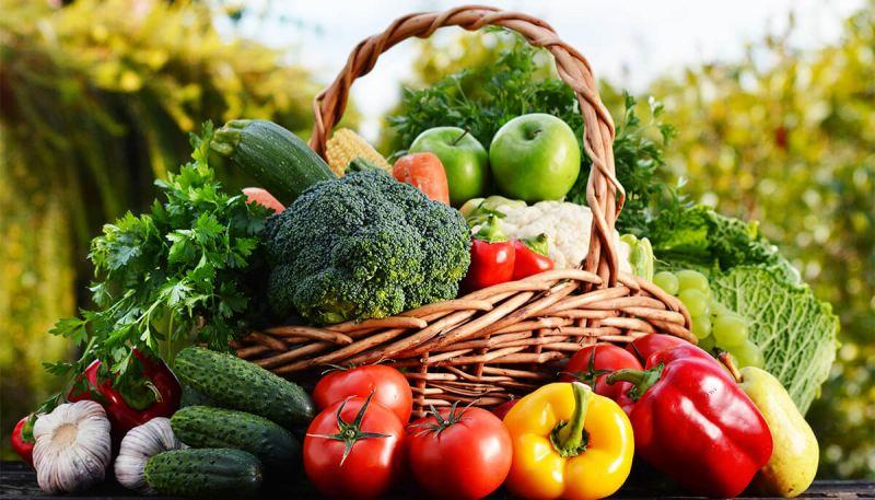 Top 8 Cửa hàng rau sạch đáng tin cậy tại Hà Nội cho một Tết an lành hơn