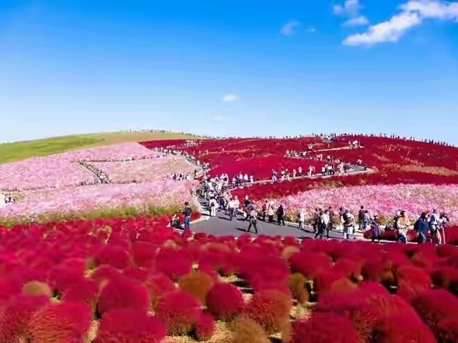 Top 30 Điểm đến tuyệt vời khiến bạn phải ngạc nhiên
