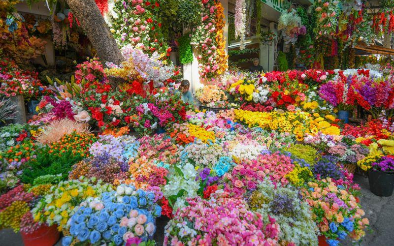 Top 7 Địa điểm bán hoa Tết đẹp ở Hà Nội