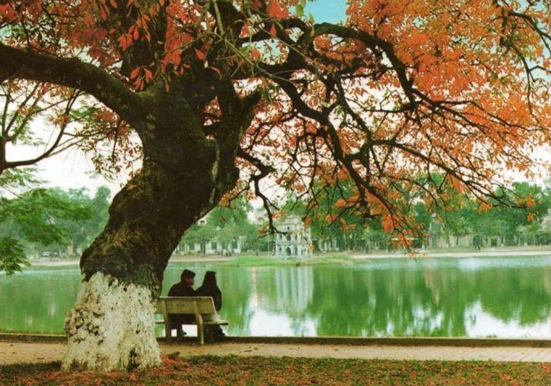 Top 6 Cung hoàng đạo sẽ được ban phát nhiều món quà đặc biệt trong ngày Valentine