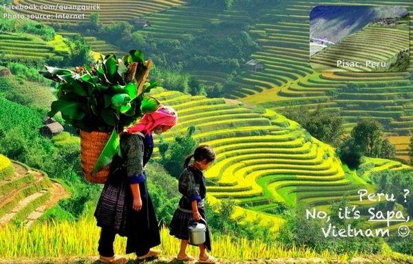 Top 15 MV hiển thị vẻ đẹp của đồng quê và nước non tươi đẹp nhất tại Việt Nam