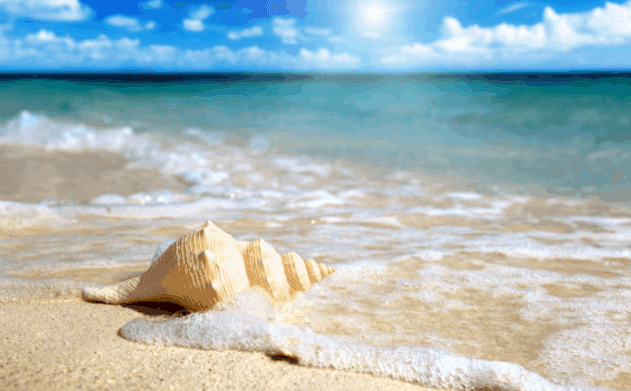 Khám phá 7 bãi biển tuyệt đẹp ở Vũng Tàu mà ít người biết