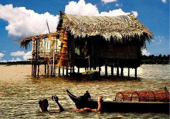 Khám phá đầm Thị Tường Cà Mau - biểu tượng của miền đất Mũi