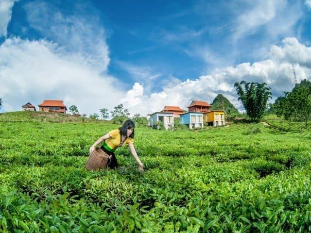 Bồi Hồi với không gian homestay ở Mộc Châu “độc đáo và mới lạ”