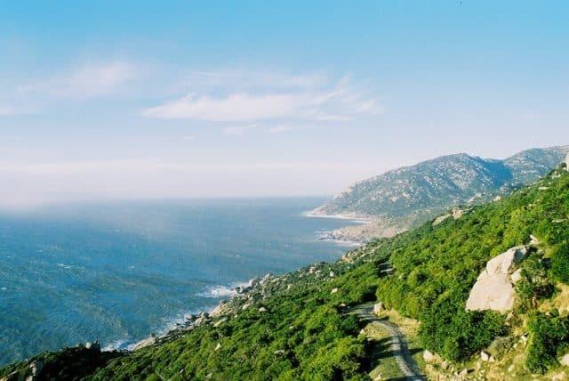 Bí quyết tự túc du lịch Ninh Thuận từ A đến Z