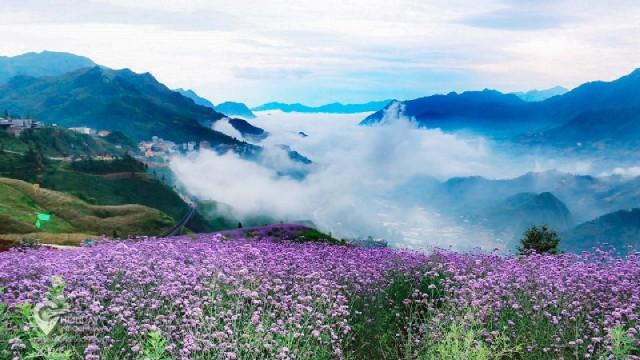 Các điểm đến an toàn trong nước cho kỳ nghỉ Lễ Quốc Khánh