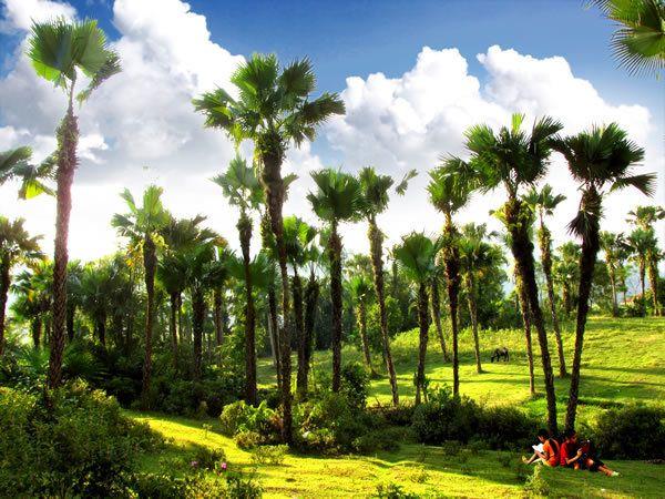 Top 9 điểm đến nổi tiếng ở Phú Thọ