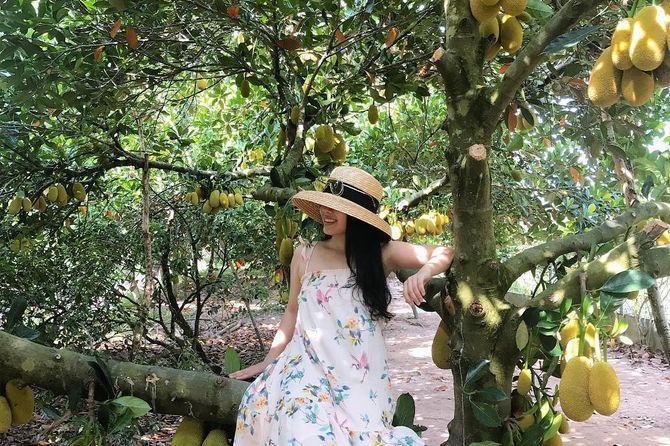 Top 11 Vườn trái cây nổi tiếng ở Bến Tre