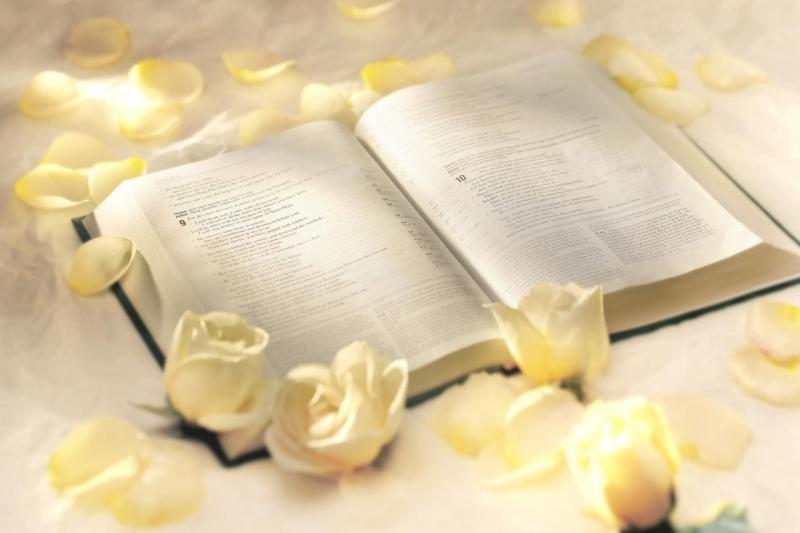 Những tác phẩm văn học tình yêu đỉnh cao trên toàn cầu